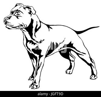 Decorative portrait of standing in profile dog Staffordshire Bull Terrier, vector isolated illustration in black color on white background Stock Vector