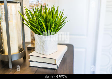 Modern space with plant on books on table in room Stock Photo