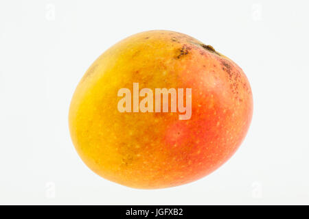 Mango (Mangifera indica) isolated on white background Stock Photo