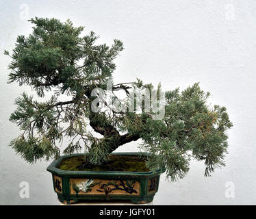 Penjing in Chinese garden, Hong Kong Stock Photo