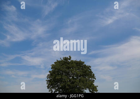 Alexandra Palace. London, UK. 6th July, 2017. Blue skies over Alexandra Palace in North London on a hot and humid afternoon in the capital as the temperature reaches 28 degrees celsius Credit: Dinendra Haria/Alamy Live News Stock Photo