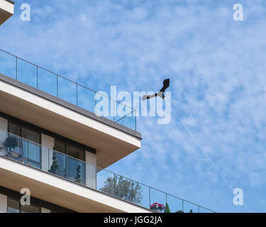 London, Greenwich, UK. 6th July 2017. Hawk kite bird scarer is installed on roof of new apartment building to chase pigeons from balconies and garden. It does not seem to perturb the local bird population, Credit: Eden Breitz/ Alamy Live News Stock Photo