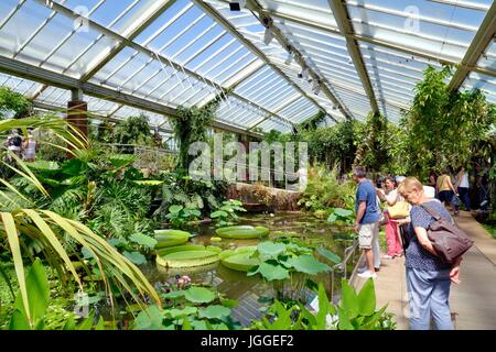 Princess Diana glasshouse in Kew Gardens London UK Stock Photo