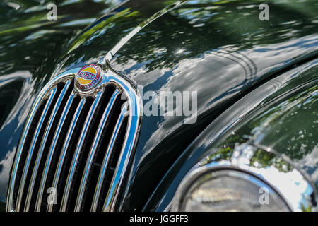 Grill and headlight of a vintage Jaguar XK 140 Stock Photo