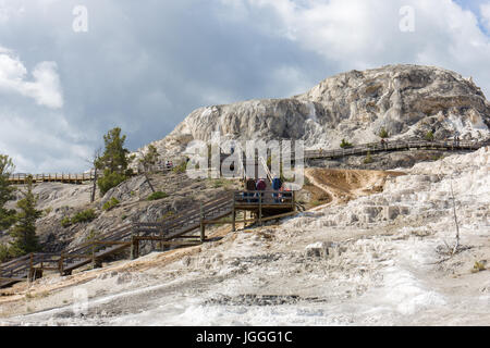 Tourists on the boardwalks and the stairs at Minerva Terrace in Mammoth Hot Springs, Yellowstone National Park Stock Photo