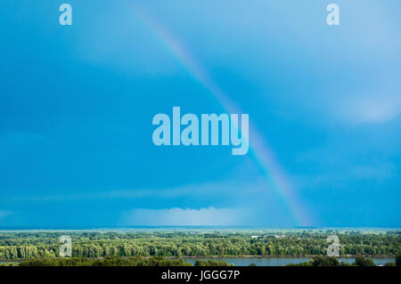 Realistic rainbow on blue sky over the green trees in the forest. Stock Photo