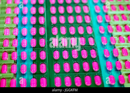 Pills in pharmaceutical blister pack packaging at packaging line. Pharmaceutical Industry. Medicine Manufacturing. Pharmaceutical Equipment. Stock Photo