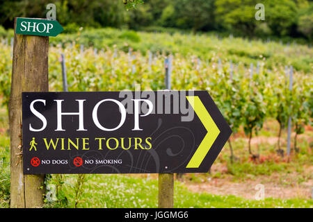 Shop and Wine Tour sign at the award winning and popular Camel Valley Vineyard near Bodmin, England giving vistors direction Stock Photo