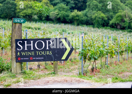 Shop and Wine Tour sign at the award winning and popular Camel Valley Vineyard near Bodmin, England giving vistors direction Stock Photo