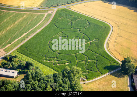 Farmer Benedikt Lunemann from Cappenberg took this year as a theme for his maize labyrinth. The world suffers from the exhaust gases from the car traf Stock Photo