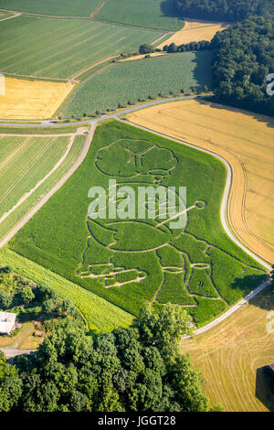 Farmer Benedikt Lunemann from Cappenberg took this year as a theme for his maize labyrinth. The world suffers from the exhaust gases from the car traf Stock Photo