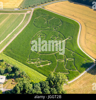 Farmer Benedikt Lunemann from Cappenberg took this year as a theme for his maize labyrinth. The world suffers from the exhaust gases from the car traf Stock Photo