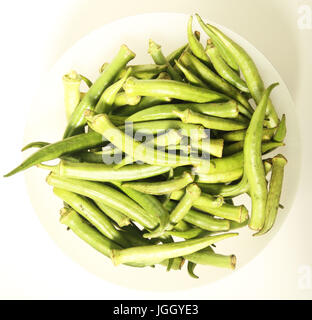 Okra, organic, 2016, City, Bom Sucesso, Minas Gerais, Brazil. Stock Photo