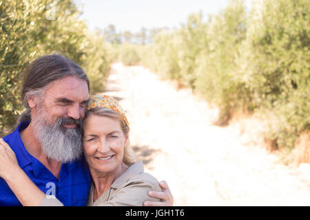 Romantic couple embracing each other in olive farm on a sunny day Stock Photo