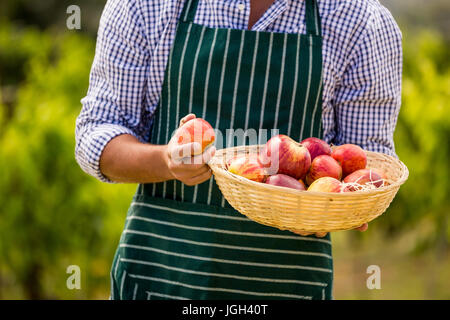 Midsection of young man holding apple basket at vineyard Stock Photo