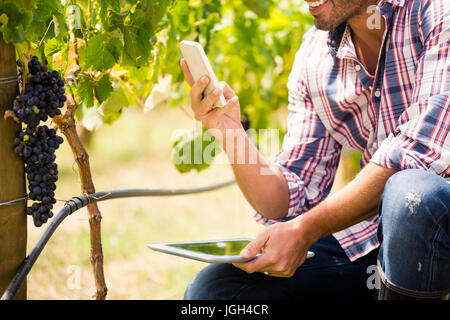 Midsection of young man using phone while holding tablet at vineyard Stock Photo
