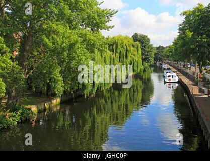 Boats at moorings tree lined River Wensum, Norwich, Norfolk, England, UK Stock Photo