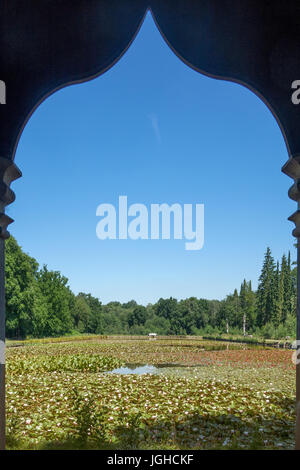 England, Surrey/Berkshire, Windsor Great Park, Cow pond Stock Photo