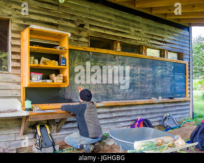 Farmer gathering produce, taking notes on daily chores Stock Photo