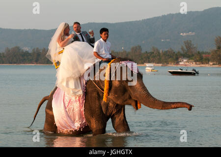 Koh Samui, wedding for foreigners, go at sea with elephant, Thailand, 2014 Stock Photo