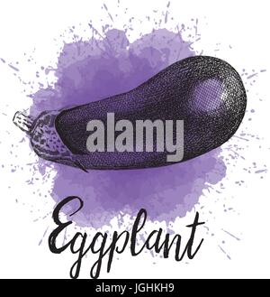 Vector illustration of eggplant depicted in hand drawn graphics  Stock Vector