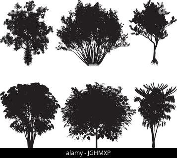 Vector illustration of tree silhouettes   Stock Vector