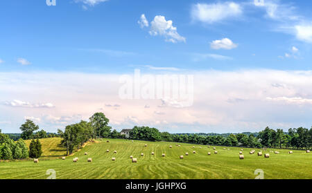 Hay bales scattered over the green rolling fields on a Maryland farm at harvest time Stock Photo