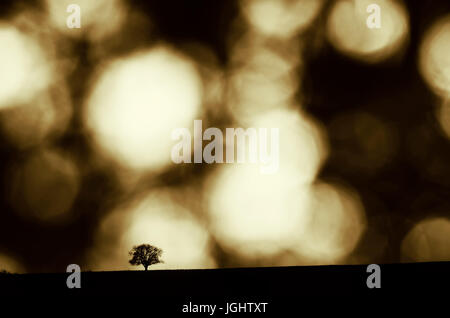 abstract tree on hill surreal landscape Stock Photo