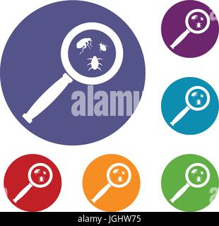 Magnifier and insects icons set Stock Vector