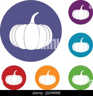 Ripe pumpkin icons set Stock Vector