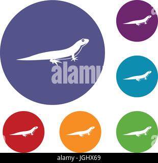 Lizard icons set Stock Vector