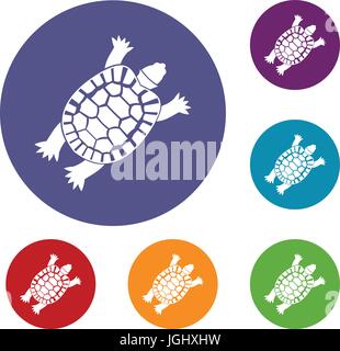 Turtle icons set Stock Vector