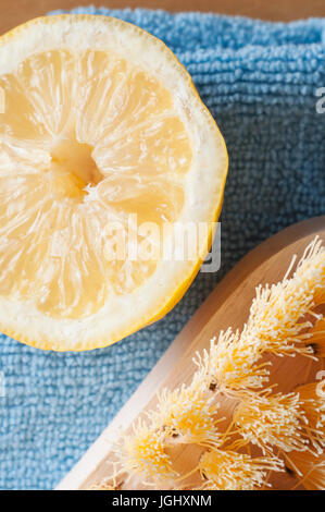 Close up, overhead shot of half a lemon, a wooden bristle scrubbing brush and a microfibre cloth to represent natural, non-toxic cleaning. Stock Photo