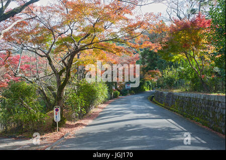 Kyoto, Japan - Red Foliage at Maruyama-koen park Stock Photo