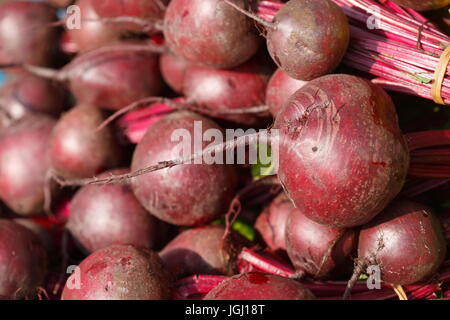 red Beet roots (Beta vulgaris vulgaris) on a market stall Stock Photo