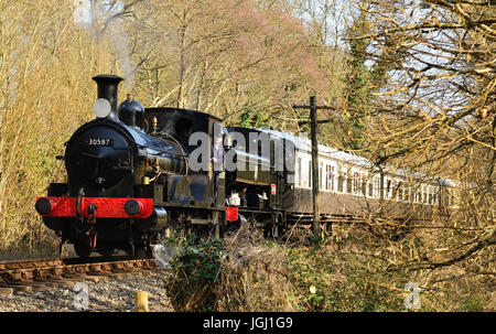 Double-headed steam train on the South Devon Railway, hauled by Beattie well tank No 30587, and GWR pannier tank No 1369. Stock Photo