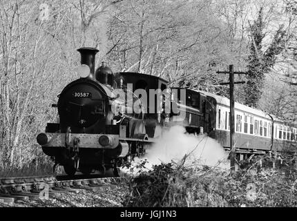 Double-headed steam train on the South Devon Railway, hauled by Beattie well tank No 30587, and GWR pannier tank No 1369. Stock Photo