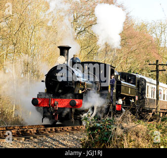 Double-headed steam train on the South Devon Railway, hauled by Beattie well tank No 30587, and GWR pannier tank No 1369. Stock Photo