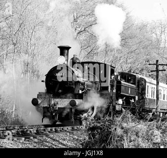 Double-headed steam train on the South Devon Railway, hauled by Beattie well tank No 30587, and GWR pannier tank No 1369. Stock Photo