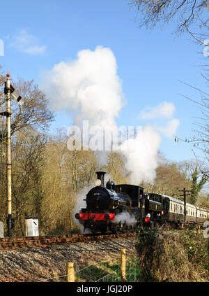 Double-headed steam train on the South Devon Railway, hauled by Beattie well tank No 30587, and GWR pannier tank No 1369. Stock Photo