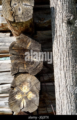 Closeup details of an old log timber home with aged and textured wood. Exterior wooden patterns with daytime sunshine Stock Photo