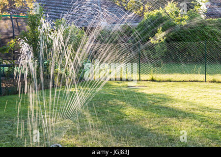 Water sprinkler in the garden produces light reflections during sundown Stock Photo