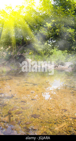 Piercing rays of sun. Tropical southern sun. Bush on Deccan plateau, on ...