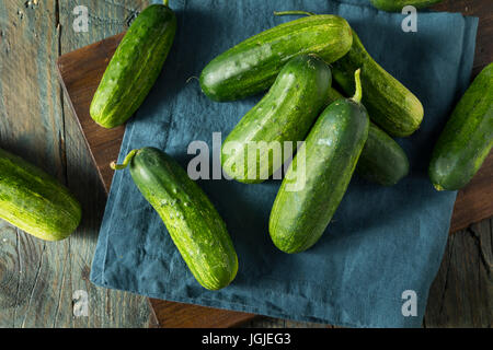 Raw Green Organic PIckle Cucumbers Ready to Eat Stock Photo