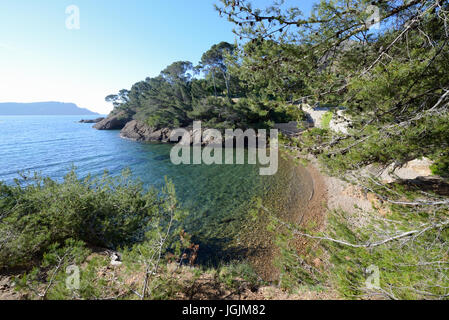 Petit Mugel Beach & Cove on the Mediterranean Coast at La Ciotat Provence France Stock Photo