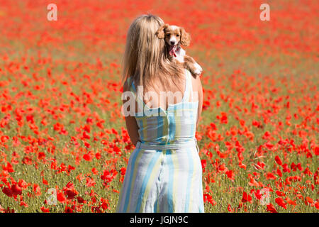 Eynsford, Kent, United Kingdom. 7th July, 2017. Elizabeth Cooper pictured with 11 week old cockapoo puppy Pip in a field of poppies in Eynsford, Kent, today. Rob Powell/Alamy Live News Stock Photo