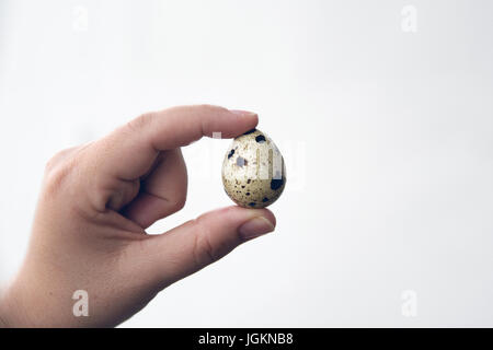 Woman's hand with a small quail egg against a white background. Empty copy space for Editor's text. Stock Photo