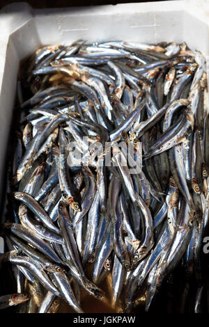 Mediterranean fish exposed in open market in Napoli Stock Photo