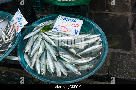 Mediterranean fish exposed in open market in Napoli Stock Photo