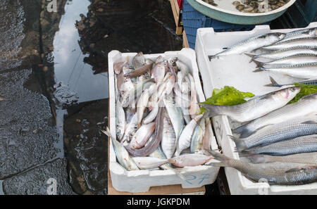 Mediterranean fish exposed in open market in Napoli Stock Photo